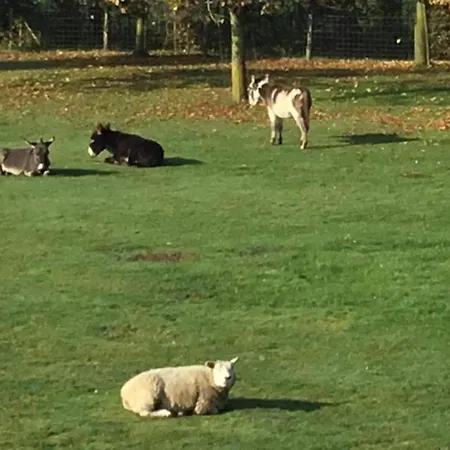 Beautiful In With Garden * Cul-des-Sarts