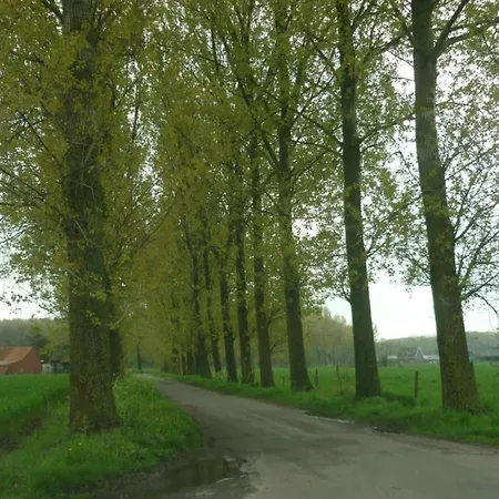 Beautiful In With Garden 펜션